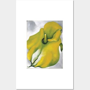 Yellow Calla Posters and Art